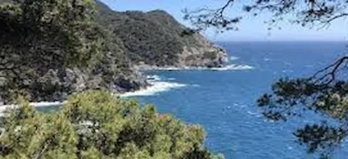 La Brise Du Brusc * Six-Fours-les-Plages