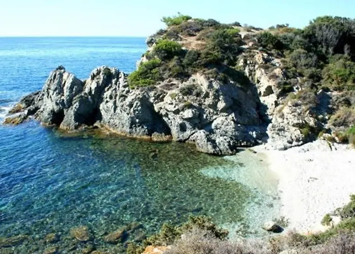 La Brise Du Brusc *