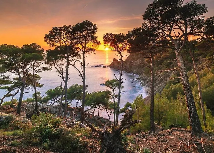 La Brise Du Brusc * Six-Fours-les-Plages