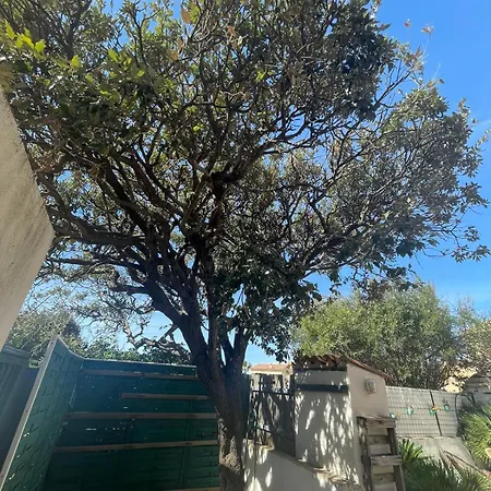 La Brise Du Brusc דירה