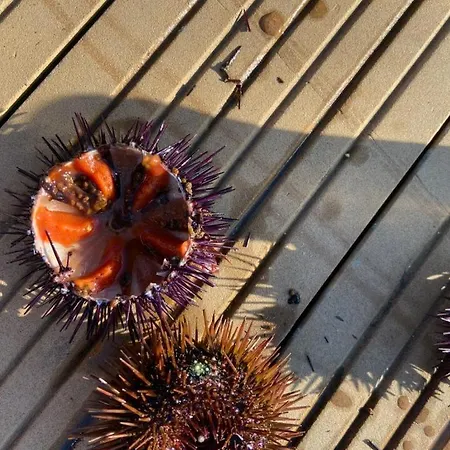 La Brise Du Brusc דירה *