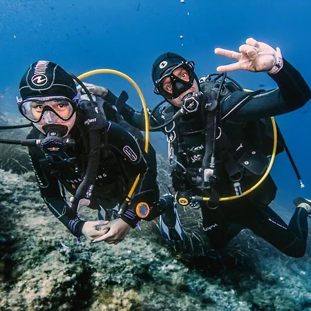 La Brise Du Brusc דירה *