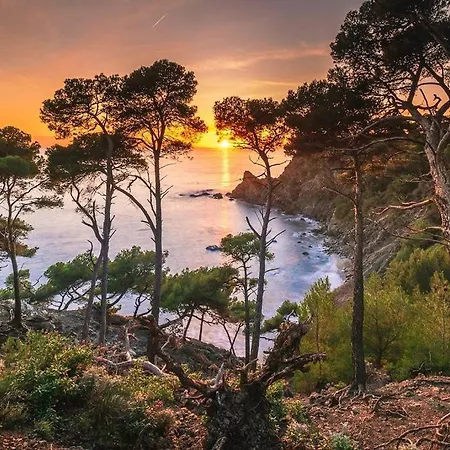 La Brise Du Brusc * סיס-פור-לה-פלאז'