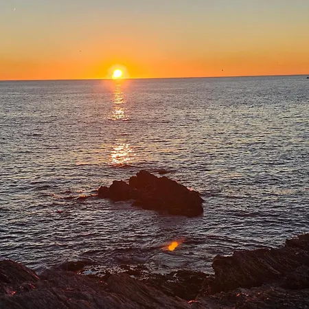 La Brise Du Brusc דירה *